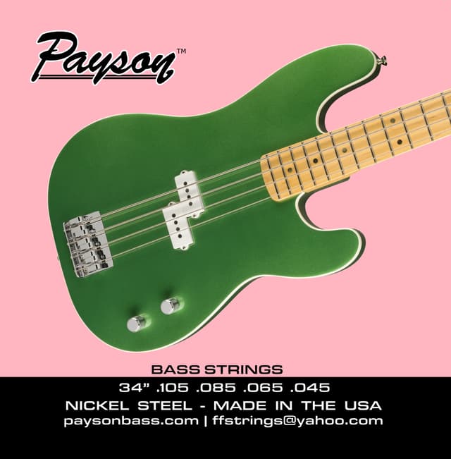 Payson Standard 4 String Bass String Set
